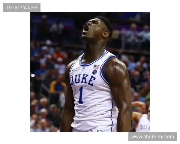 墨尔本NBA球迷商店惊现锡安真人大小乐高模型引发热议